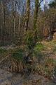 le ruisseau sur le chemin de Blachesb
